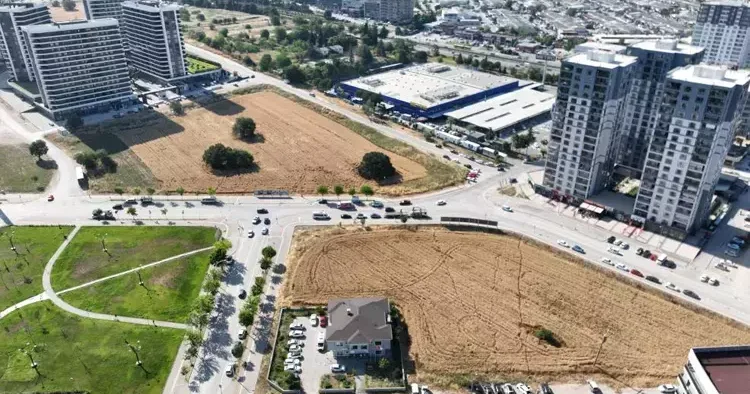 Lüks gökdelenlerin arasında buğday direnişi!