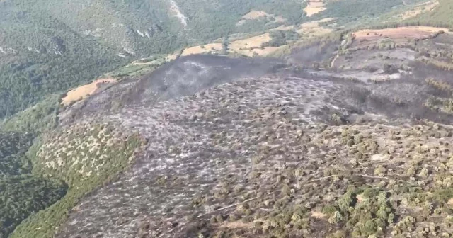 Balıkesir de devam eden orman yangınında alevlerin bölgeye bıraktığı hasar havadan görüntülendi VİDEO İZLE