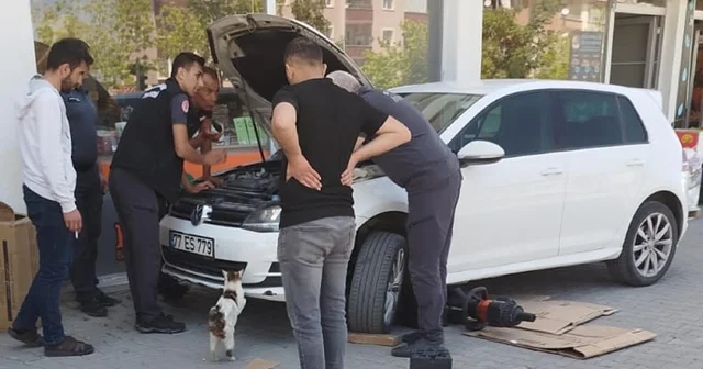Kedi, otomobilin motor kısmında mahsur kalan 4 yavrusunun kurtarılmasını bekledi Erzurum Haberleri