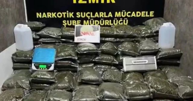 İzmir de 126 kilo bonzai ele geçirildi İzmir Haberleri