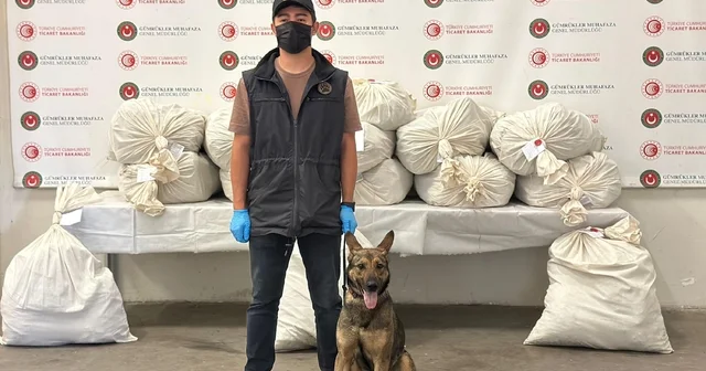 Kapıkule de 2 TIR da toplam 212 kilo esrar ele geçirildi Edirne Haberleri