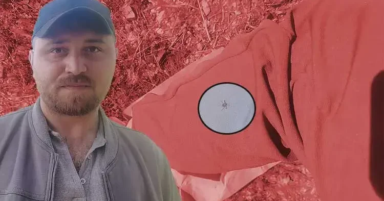 Kene kabusu devam ediyor... Keneler, köpekler gibi koku alıp üzerimize geliyor