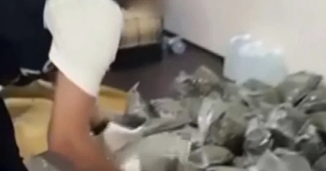 İzmir de narko ekiplerinden insan yiyen uyuşturucu operasyonu: Yüzlerce kilo ele geçirildi VİDEO İZLE