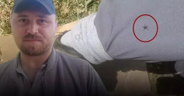 Sivas haberleri Keneler, köpekler gibi koku alıp üzerimize geliyor dedi, korkutan anları kaydetti 20 Haziran 2025