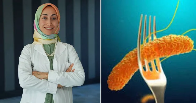 Sıcak havalarda artan Salmonella bakterisine dikkat Sağlık Haberleri