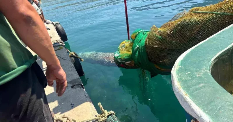 Karaburun da Balıkçı Teknesine Torpido Takıldı
