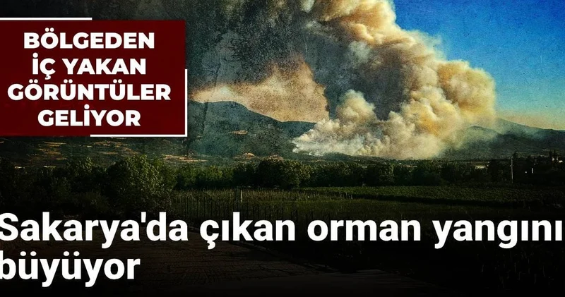 Sakarya da çıkan orman yangını büyüyor: Bölgeden iç yakan görüntüler geliyor