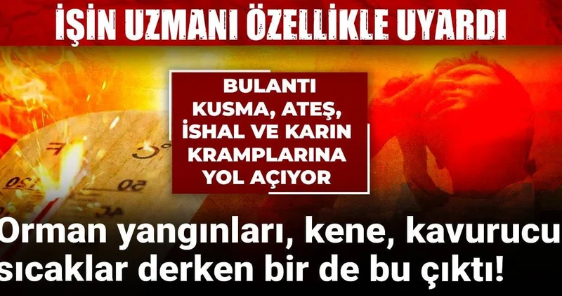 Kene, kavurucu sıcaklar derken bir de bu çıktı! Uzmanı uyardı: Bulantı, kusma, ateş, ishala neden oluyor