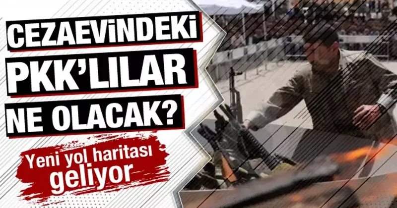 PKK lılar için yeni hukuki süreç başlıyor! Masada 4 başlık var