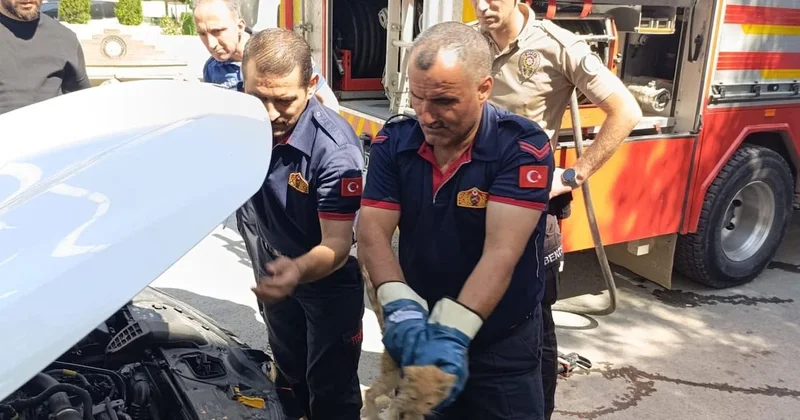 Araca sıkışan yavru kedinin imdadına itfaiye yetişti Sözcü Gazetesi