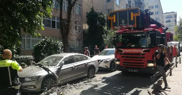 Şişli de ağaçtan kopan dallar park halindeki otomobile zarar verdi