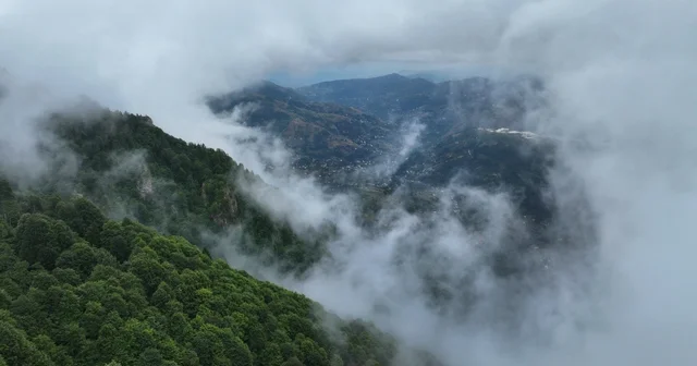 Trabzon un Hıdırnebi Yaylası sis altındaki güzelliğiyle ziyaretçilerini karşılıyor Trabzon Haberleri