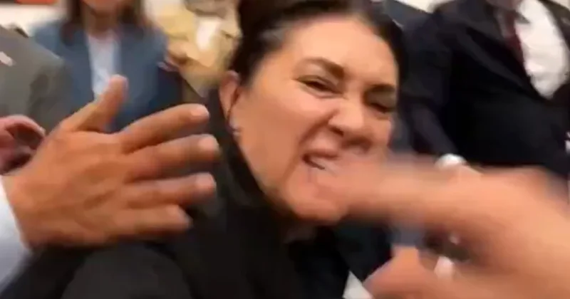 AKP li vekiller zeytin katliamı için kavgayı bile göze aldı Sözcü Gazetesi