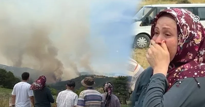 Uşak ta orman yangını çıktı, köylüler gözyaşlarına boğuldu Sözcü Gazetesi
