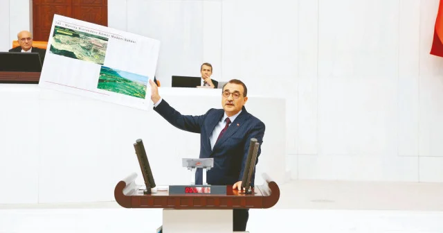 Kesme yok, taşınacak: Zeytinlikler düzenlemesi Meclis ten geçti Yerel Gündem Haberleri