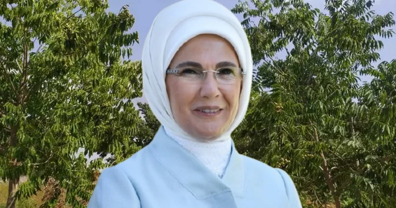 Emine Erdoğan istedi, Hindistan dan getirilip Türkiye ye ekildi: Meyve vermesi tam 5 yıl sürdü Sözcü Gazetesi