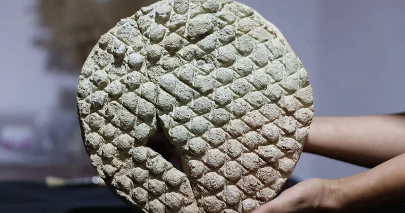 Harran da baklava dilimi desenli tarihi ekmek kalıbı bulundu