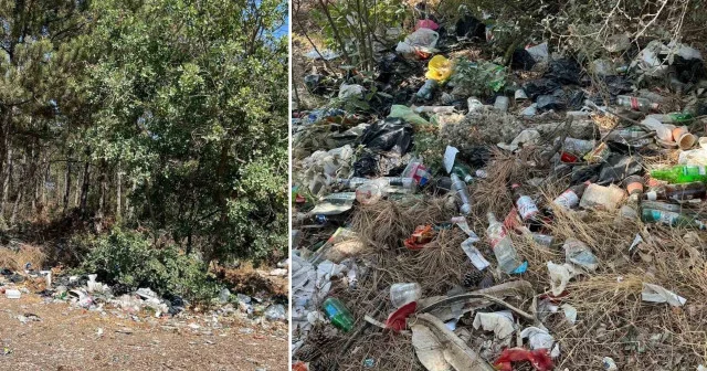 Alkol alanlar Bilecik in göbeğini çöplüğe çevirdiler: Vatandaş tepkili Gündem Haberleri