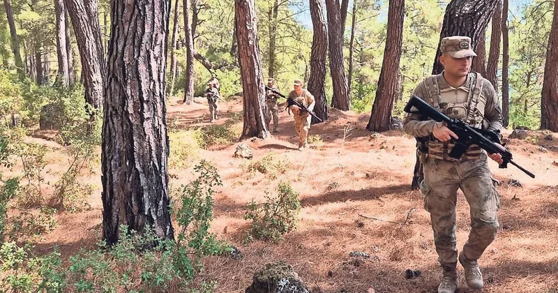Ormanlar Mehmetçiğe emanet