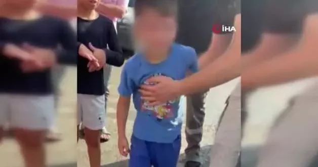 Köpek terörü bitmek bilmiyor! Başıboş köpek sıkandalının adresi Beykoz