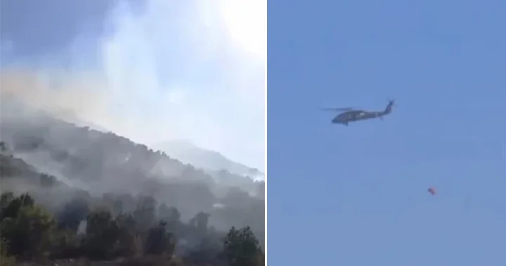 Hakkari Yüksekova da orman yangını