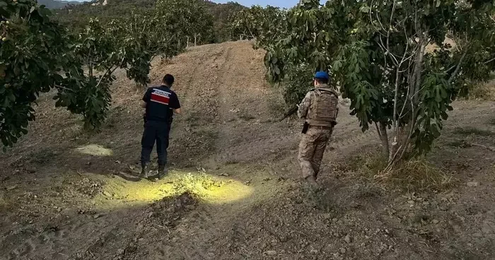 Jandarma incir hırsızlarına geçit vermiyor
