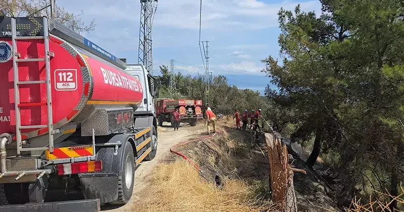 Mudanya da 1 dönüm orman yandı