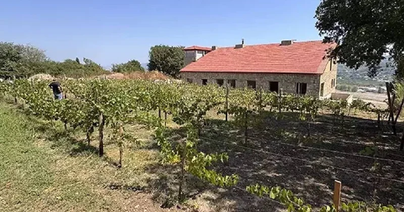 Mühendisliği bırakıp belgeselde gördüğü işe yöneldi: 6 ton hasatla servet kazanıyor Sözcü Gazetesi