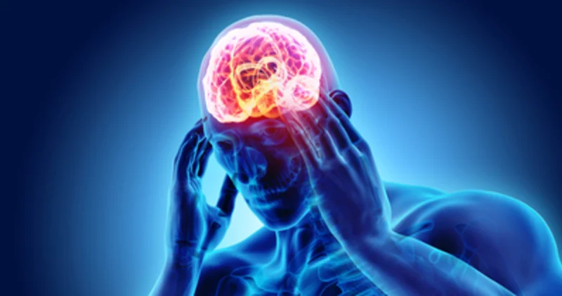 Atatürk Üniversitesinden bir akademisyen, pestisitin Alzheimer nedeni olup olmadığını araştırdı Sağlık Haberleri