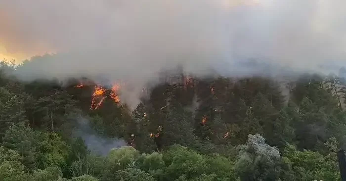 Bolu’daki orman yangını yayılıyor: 7 helikopterle havadan destek
