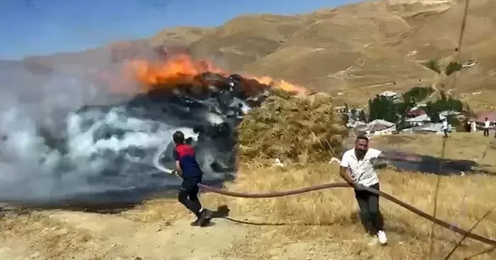 Yüksekova’da anız yangını: 4 bin bağ ot kül oldu