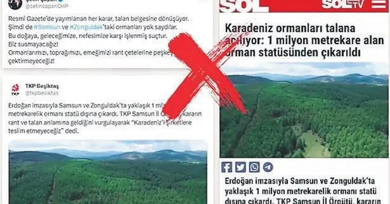 DMM: ‘Ormanların talan edildiği’ iddiası gerçek dışı
