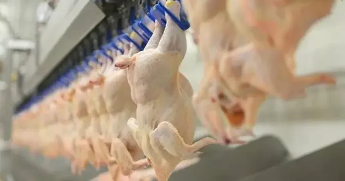 İddialar gündem olmuştu! Ticaret Bakanlığı ndan Suriye açıklaması