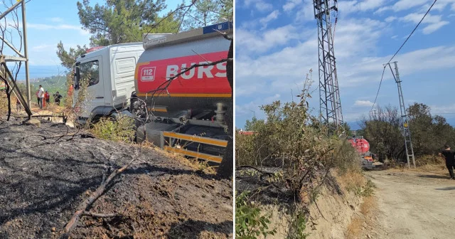 Mudanya da başlayan orman yangınında bir dönüm alan yandı: Zeytin ağaçları zarar gördü Bursa Haberleri