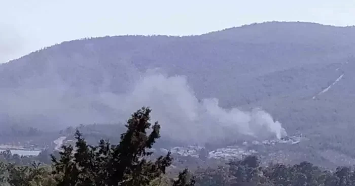 Yangın ormana sıçramadan söndürüldü
