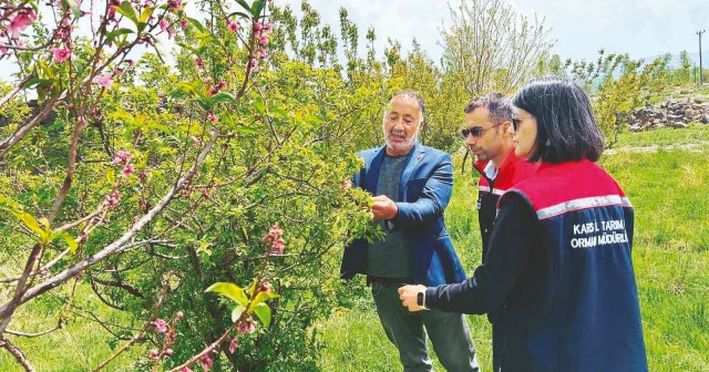 Çiftçiye hasat öncesi pestisit eğitimi Ekonomi Haberleri