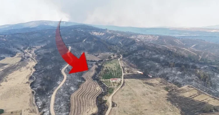 Çanakkale de her yer griye döndü! Bir tek orası yemyeşil kaldı