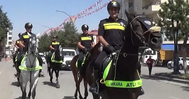 Malazgirt Zaferi kutlamalarına katılacak atlı polisler Ahlat ta devriye görevi yaptı VİDEO İZLE