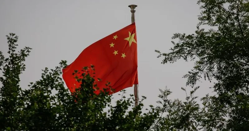 Made in China’dan Owned by China ya Dış Haberler