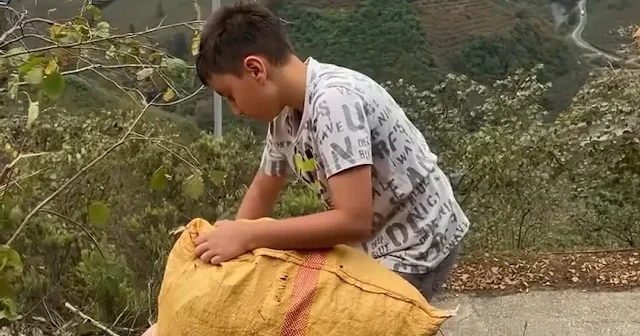 Topladığı fındığın gelirini Gazze ye bağışladı VİDEO İZLE