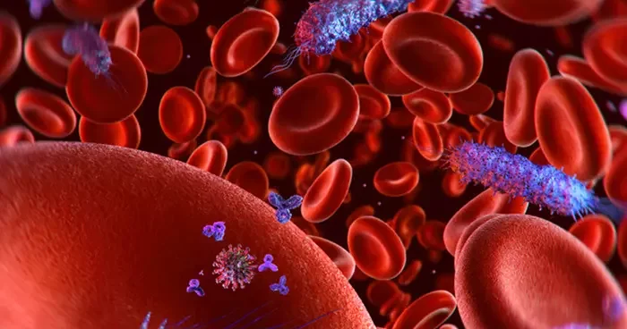 Her 5 ölümden 1 inin sebebi: Sepsis! Kan zehirlenmesi nedir?