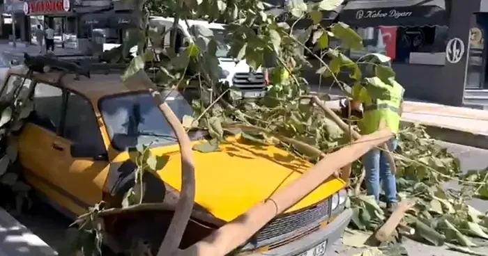 Söke de ağacın dalı araç üzerine düştü