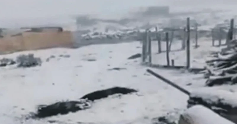 Rize ve Erzurum’a kar yağdı yaylalar beyaza büründü