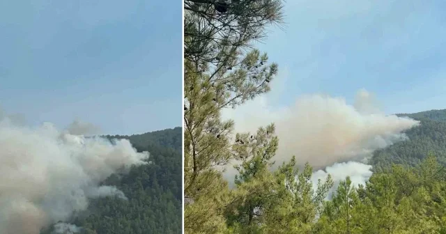Alanya da ormanlık alan yangınları kontrol altına alınmaya çalışılıyor Antalya Haberleri