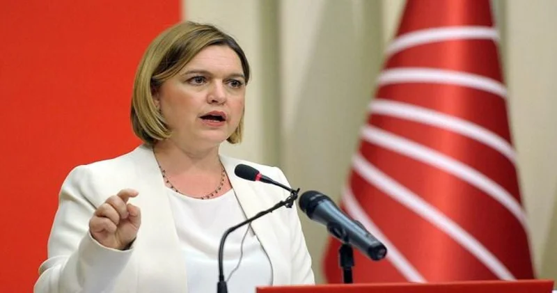 CHP li Selin Sayek Böke ye yeni görev
