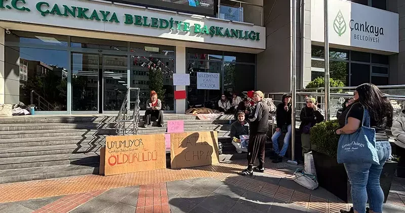 Hayvanseverlerden, belediye önünde ölü köpek ile eylem