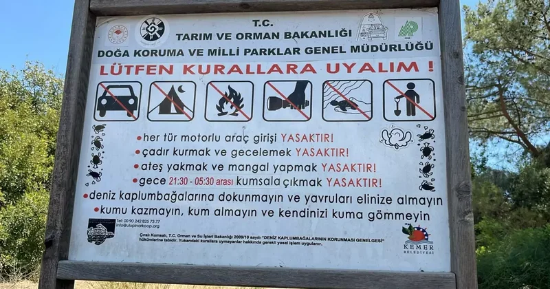 Deniz Kaplumbağaları İçin Gece Giriş Yasağı