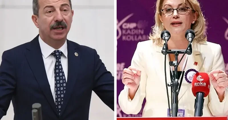 CHP li Asu Kaya dan, İYİ Partili Hasan Toktaş ın skandal mesajı hakkında ilk açıklama