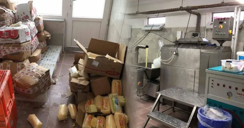 Bize neler neler yedirmişler! Mide bulandıran 5 tonluk kaşar peynir operasyonu Sözcü Gazetesi