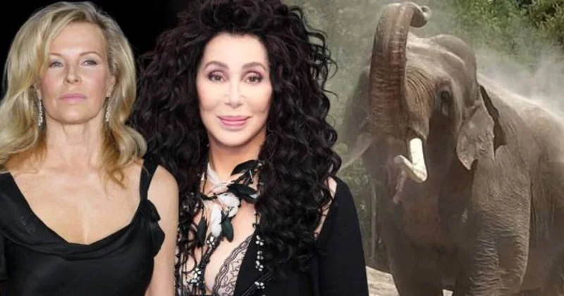 Cher ve Kim Basinger yaşlı filler için harekete geçti magazin haberleri